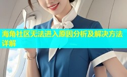 海角社区无法进入原因分析及解决方法详解