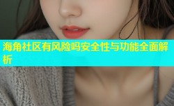 海角社区有风险吗安全性与功能全面解析