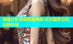 海角社区充值受限揭秘 社区服务与互动新体验
