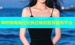 枫桥镇海角社区拆迁规划智慧服务平台