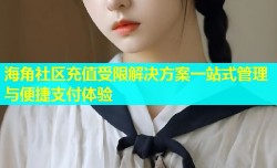 海角社区充值受限解决方案一站式管理与便捷支付体验