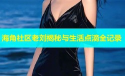 海角社区老刘揭秘与生活点滴全记录