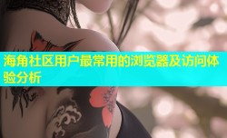 海角社区用户最常用的浏览器及访问体验分析