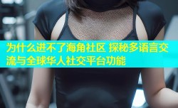 为什么进不了海角社区 探秘多语言交流与全球华人社交平台功能