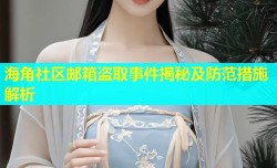 海角社区邮箱盗取事件揭秘及防范措施解析