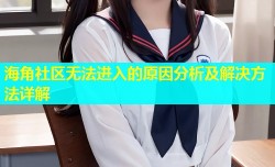 海角社区无法进入的原因分析及解决方法详解