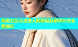 海角社区无法进入的原因及解决办法全面解析