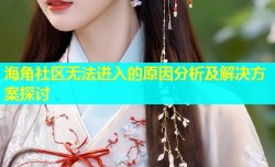 海角社区无法进入的原因分析及解决方案探讨