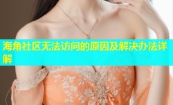 海角社区无法访问的原因及解决办法详解