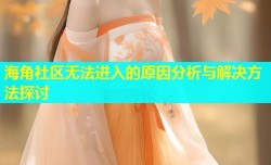 海角社区无法进入的原因分析与解决方法探讨