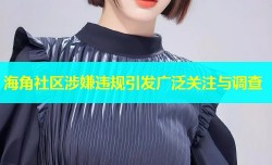 海角社区涉嫌违规引发广泛关注与调查