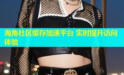 海角社区缓存加速平台 实时提升访问体验