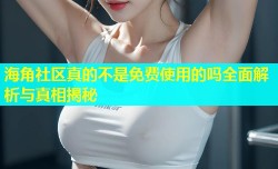 海角社区真的不是免费使用的吗全面解析与真相揭秘
