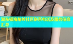 湖东镇海角岭社区联系电话及服务信息汇总