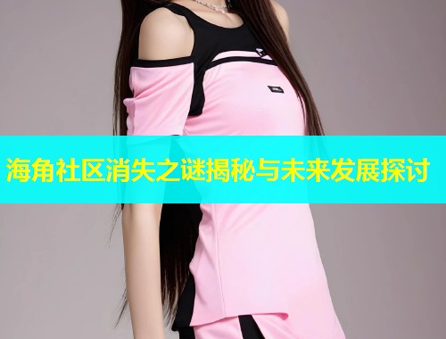 海角社区消失之谜揭秘与未来发展探讨  第2张
