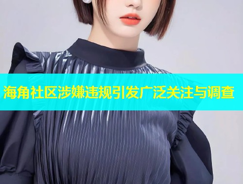 海角社区涉嫌违规引发广泛关注与调查  第1张