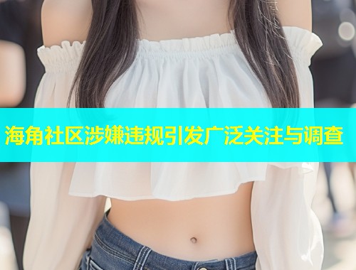 海角社区涉嫌违规引发广泛关注与调查  第2张