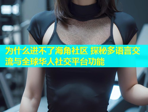 为什么进不了海角社区 探秘多语言交流与全球华人社交平台功能  第1张
