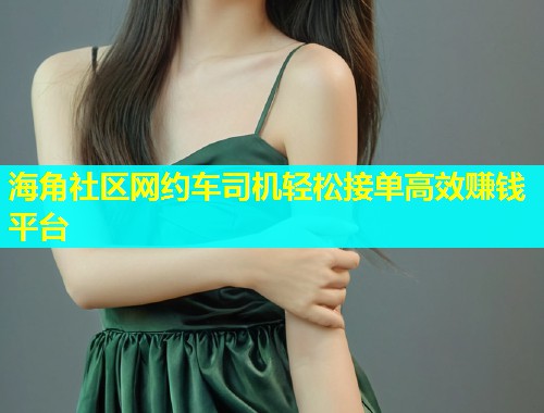 海角社区网约车司机轻松接单高效赚钱平台  第1张
